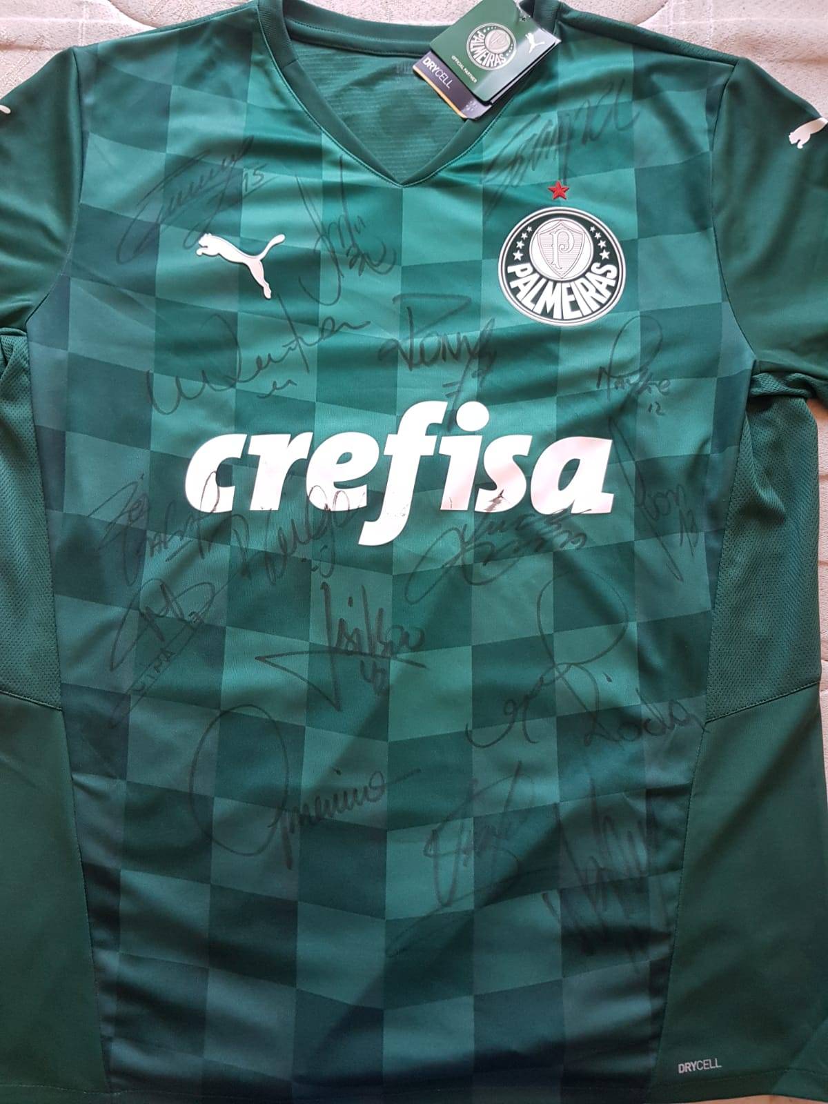 Camisa do Palmeiras Autografada pelos campeões da América 2020.