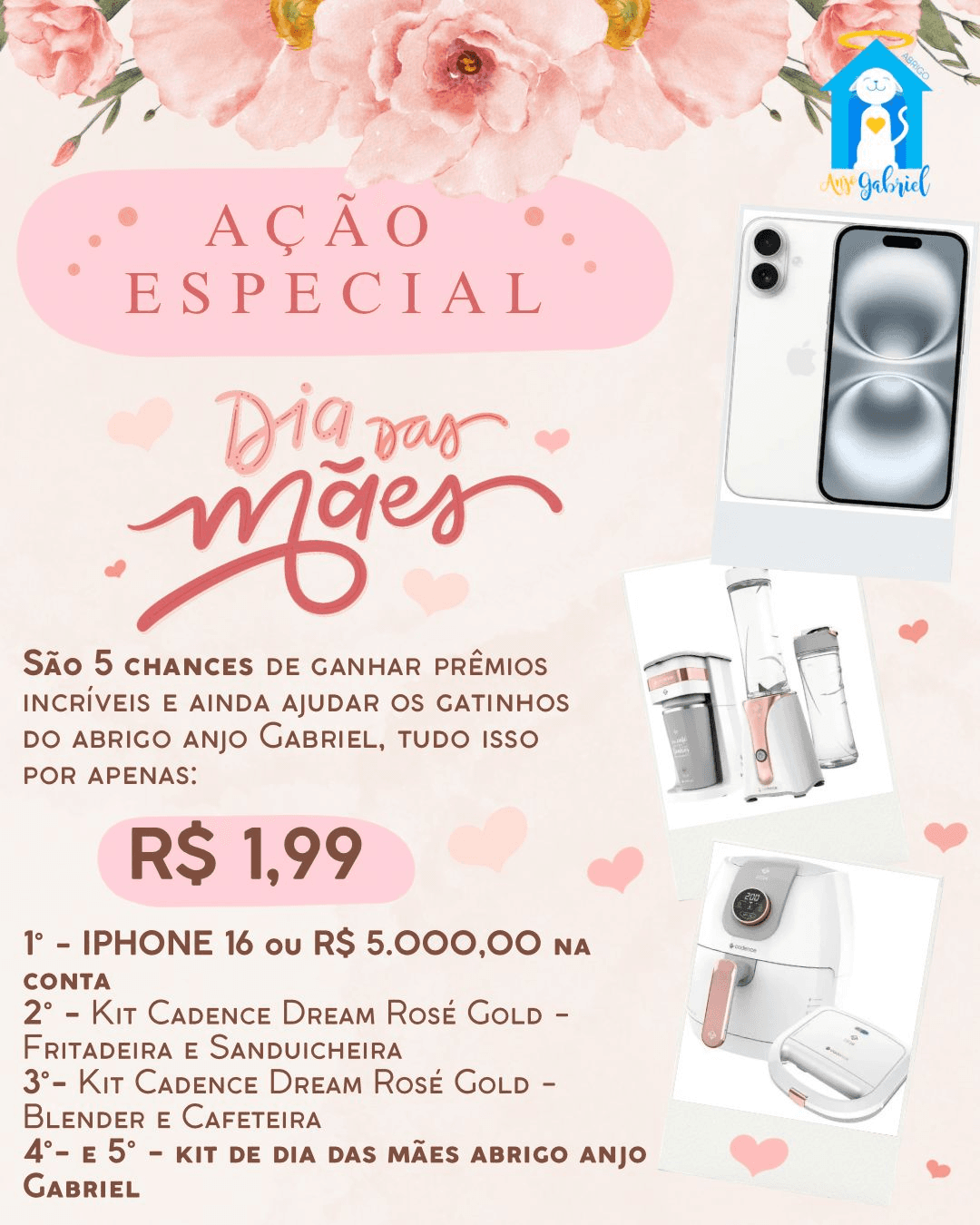 Ação Especial dia das Mãe - Abrigo Anjo Gabriel