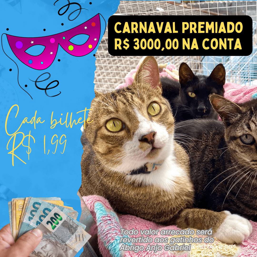 Carnaval Premiado Abrigo Anjo Gabriel