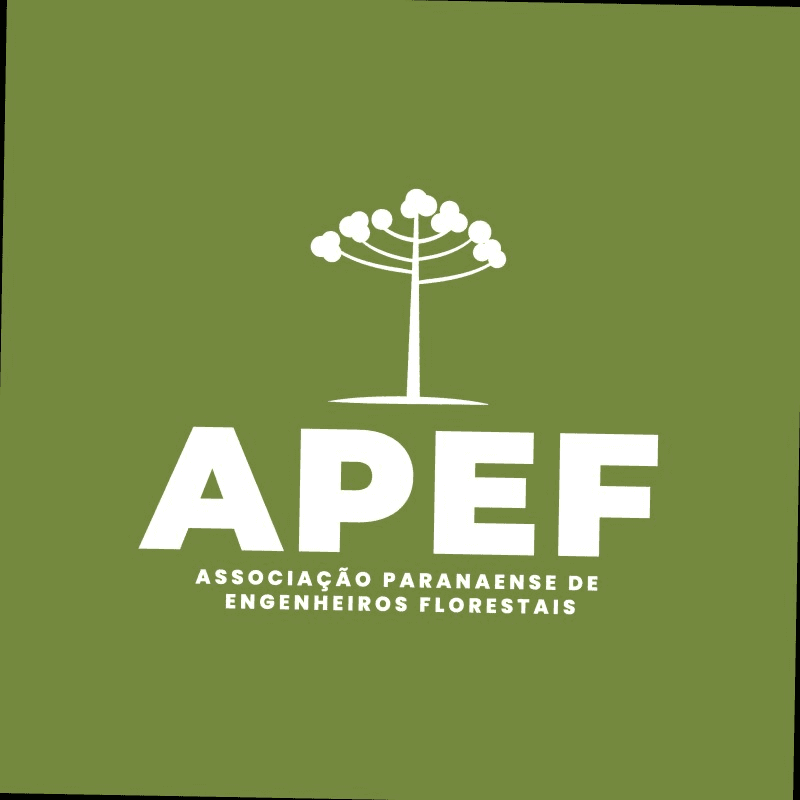 3ª imagem da campanha