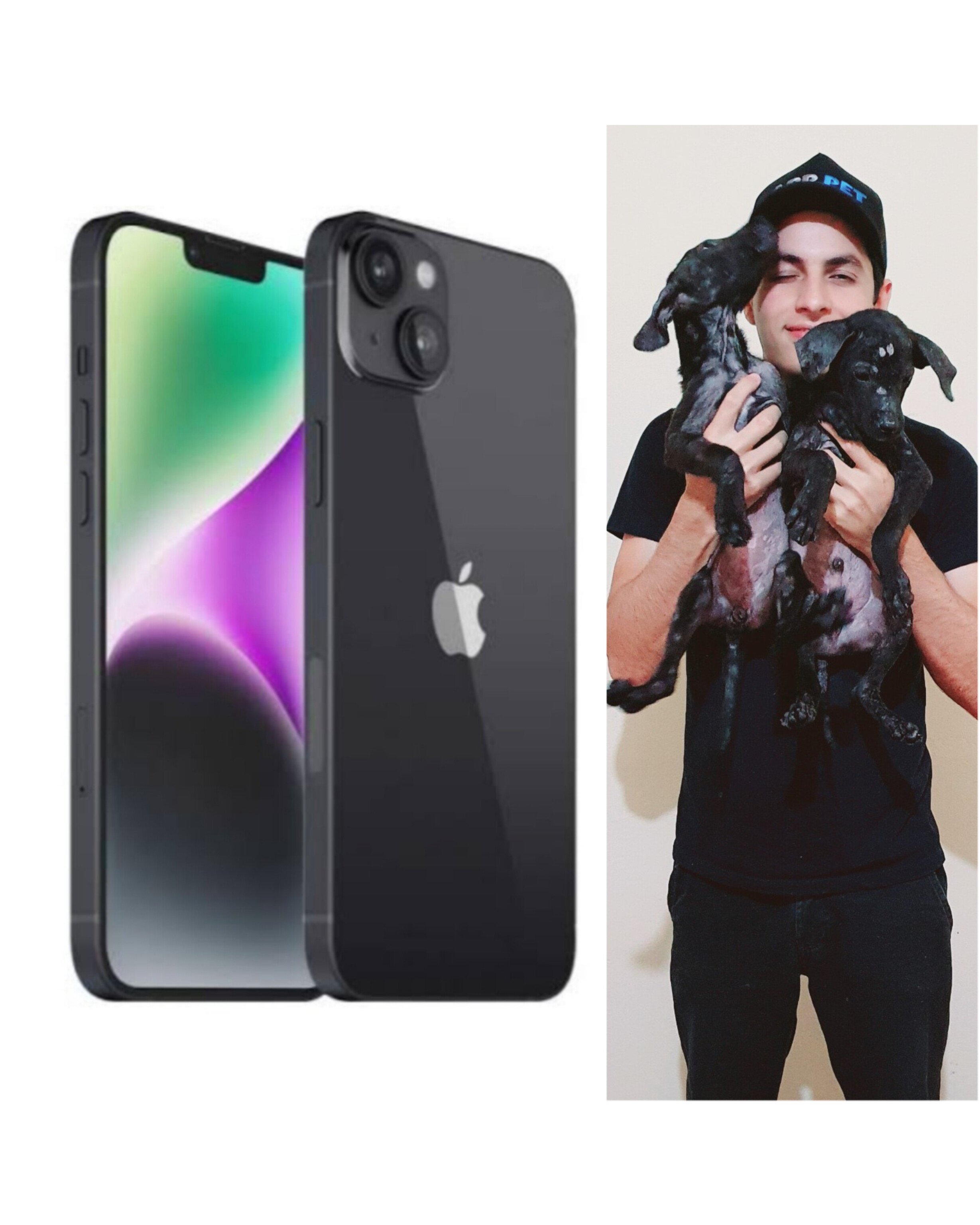 Rifa iPhone 14 para ajudar os animais