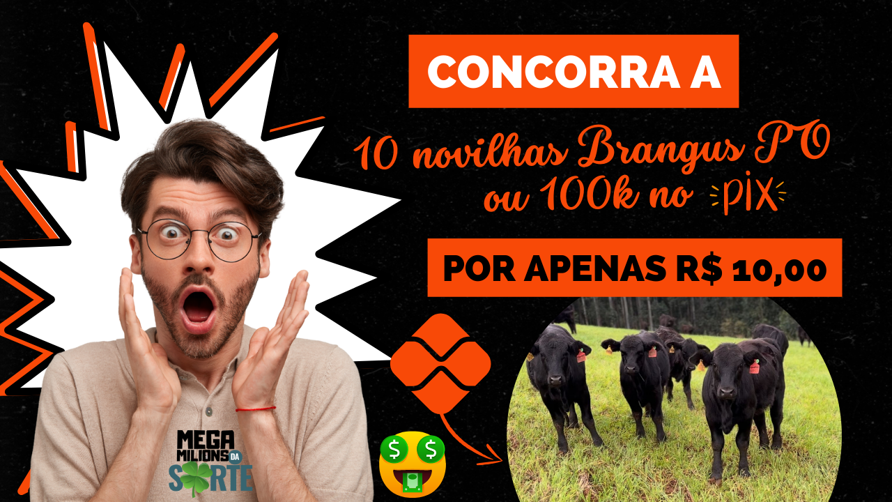 1ª imagem da campanha