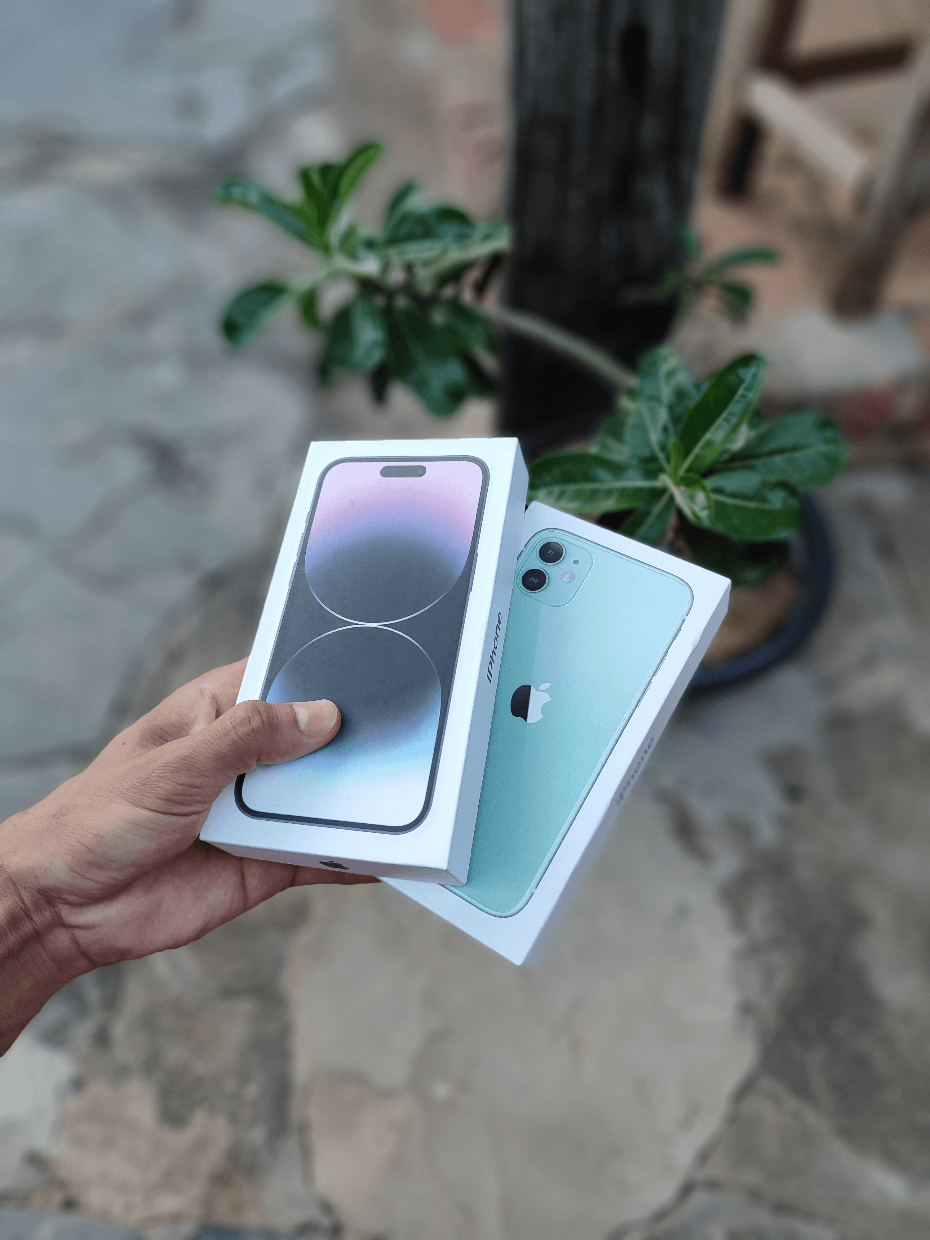 iPhone 14 Pro Max e iPhone 11
