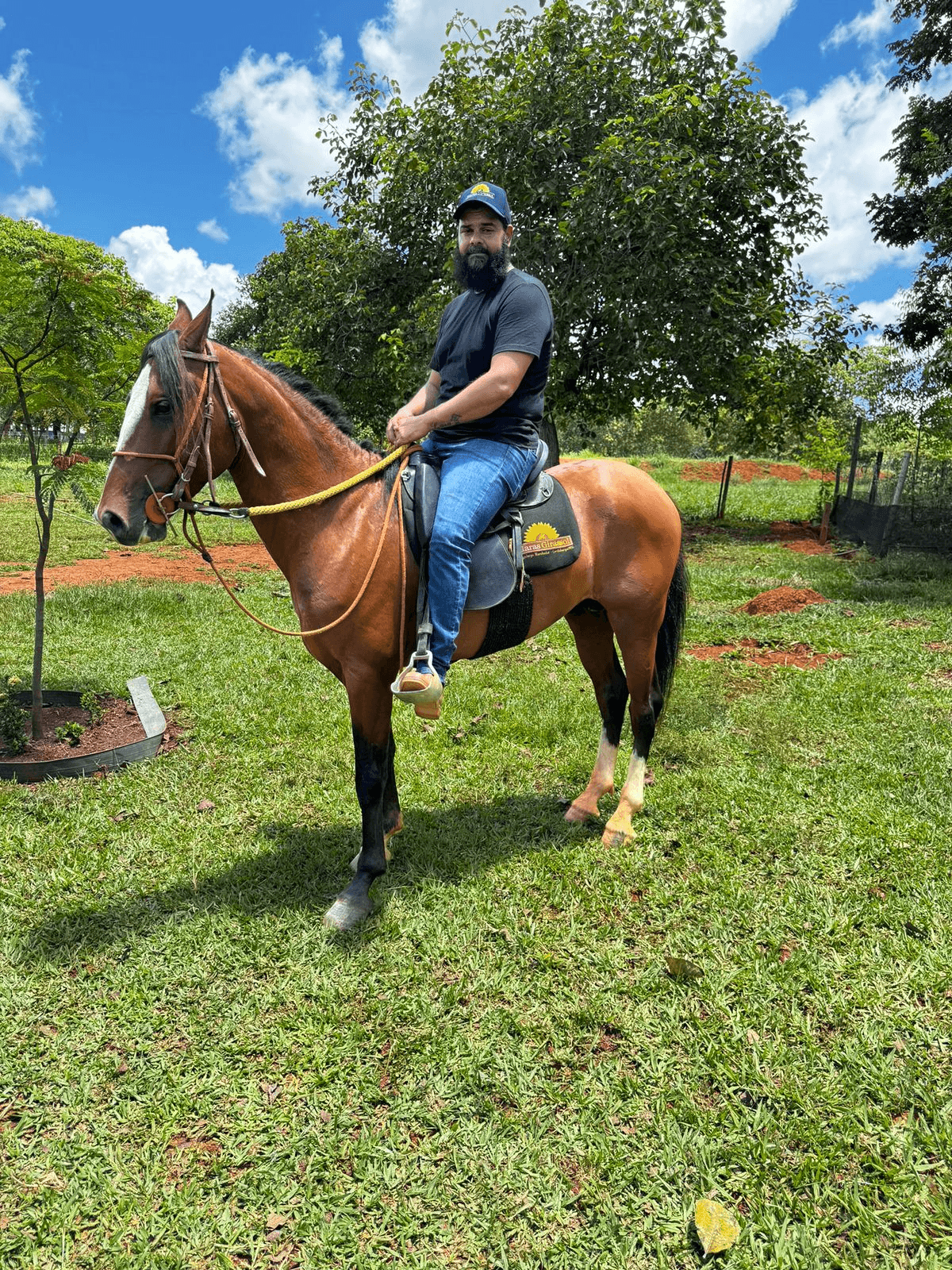 CAVALO MANGALARGA REGISTRADO OU R$10.000,00 NO PIX