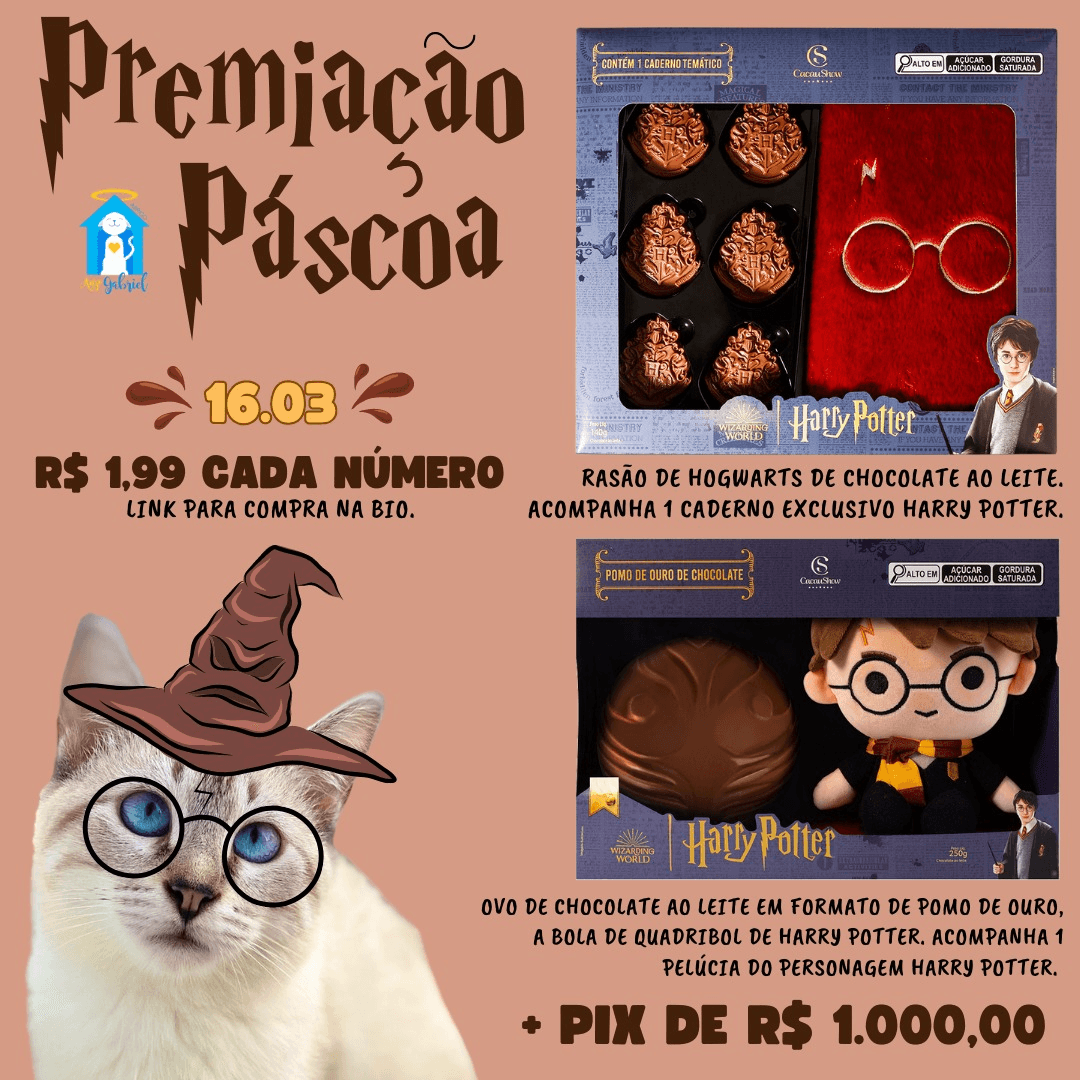 Um kit Harry Potter e Mil reais na conta