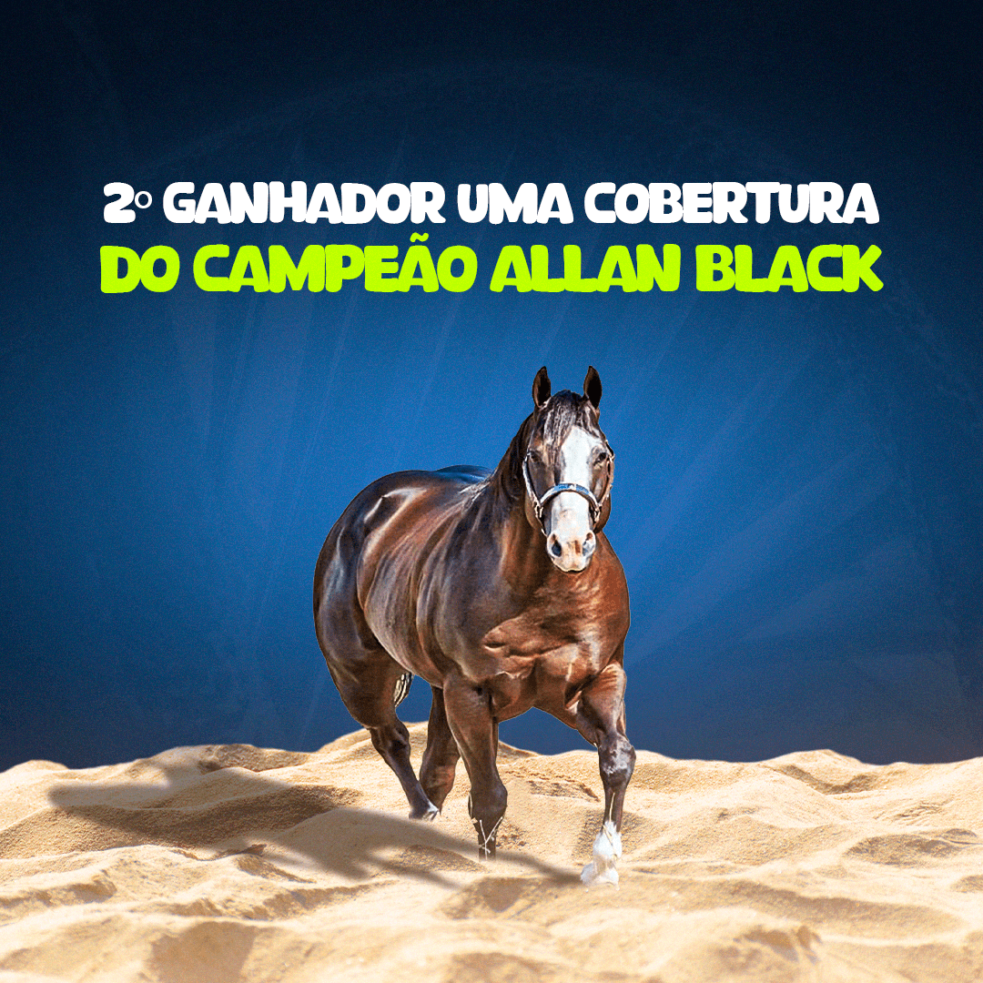 2ª imagem da campanha