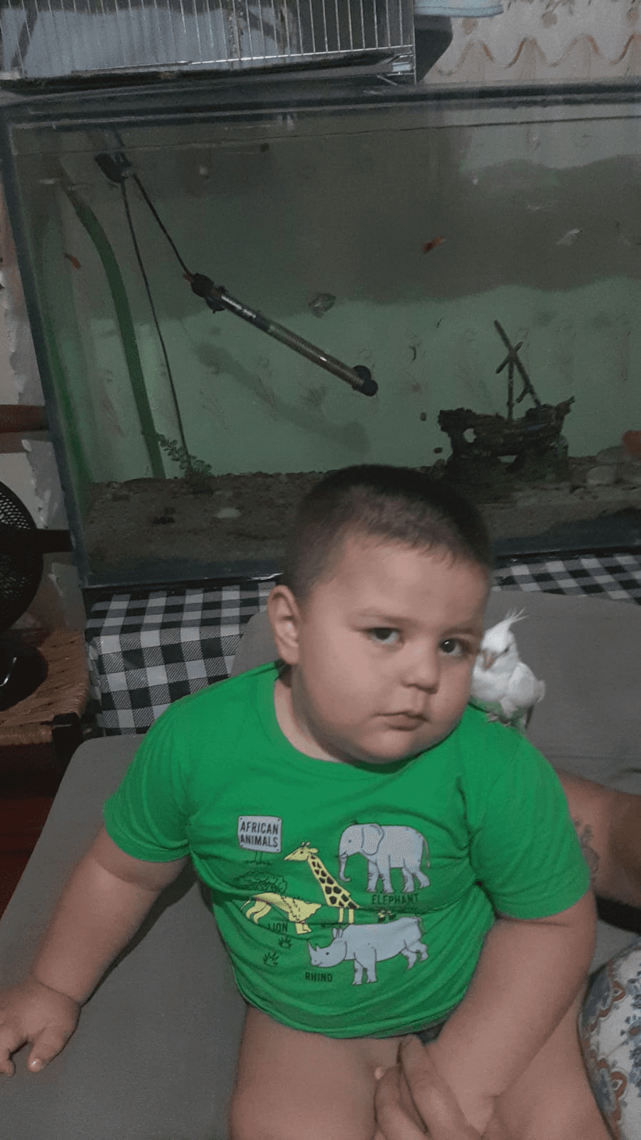 3ª imagem da campanha