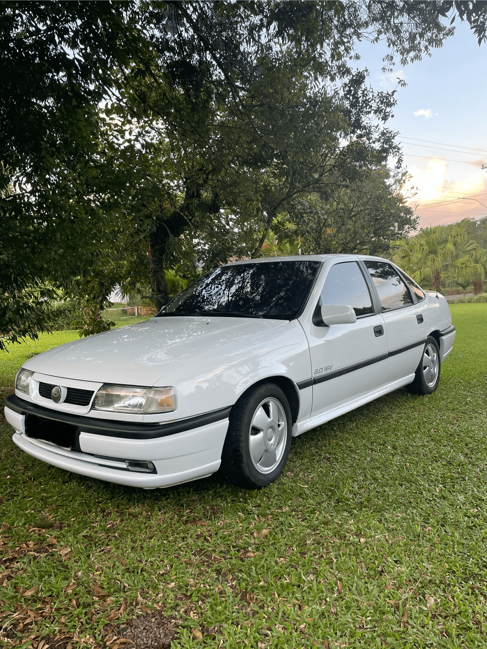 VECTRA GSI