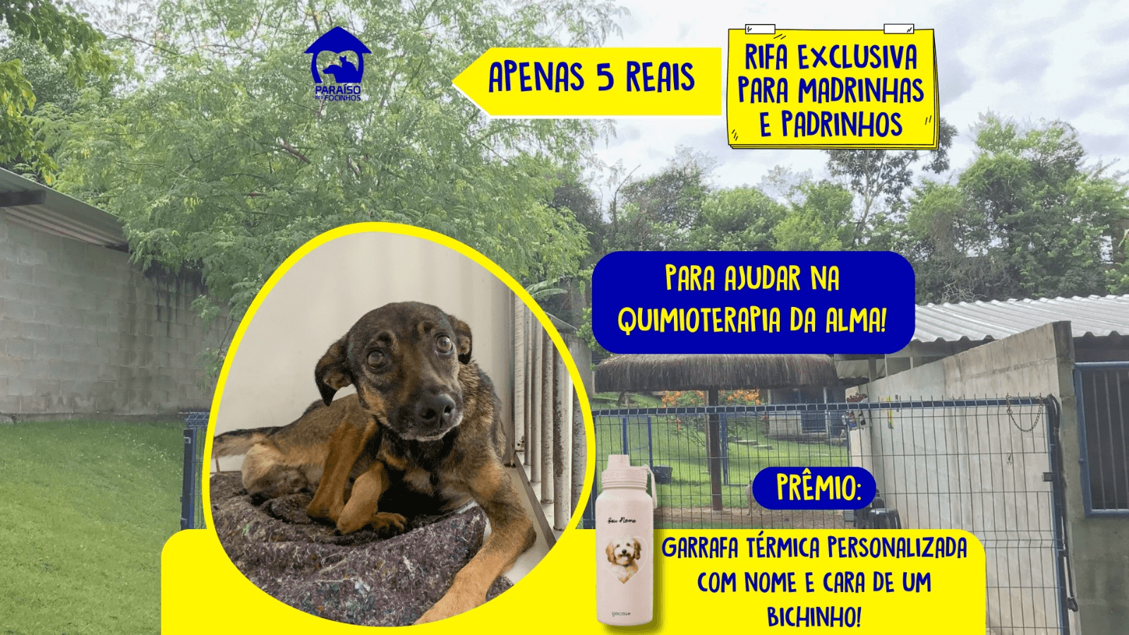1ª imagem da campanha