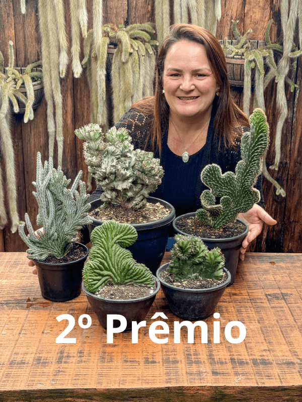 2ª imagem da campanha