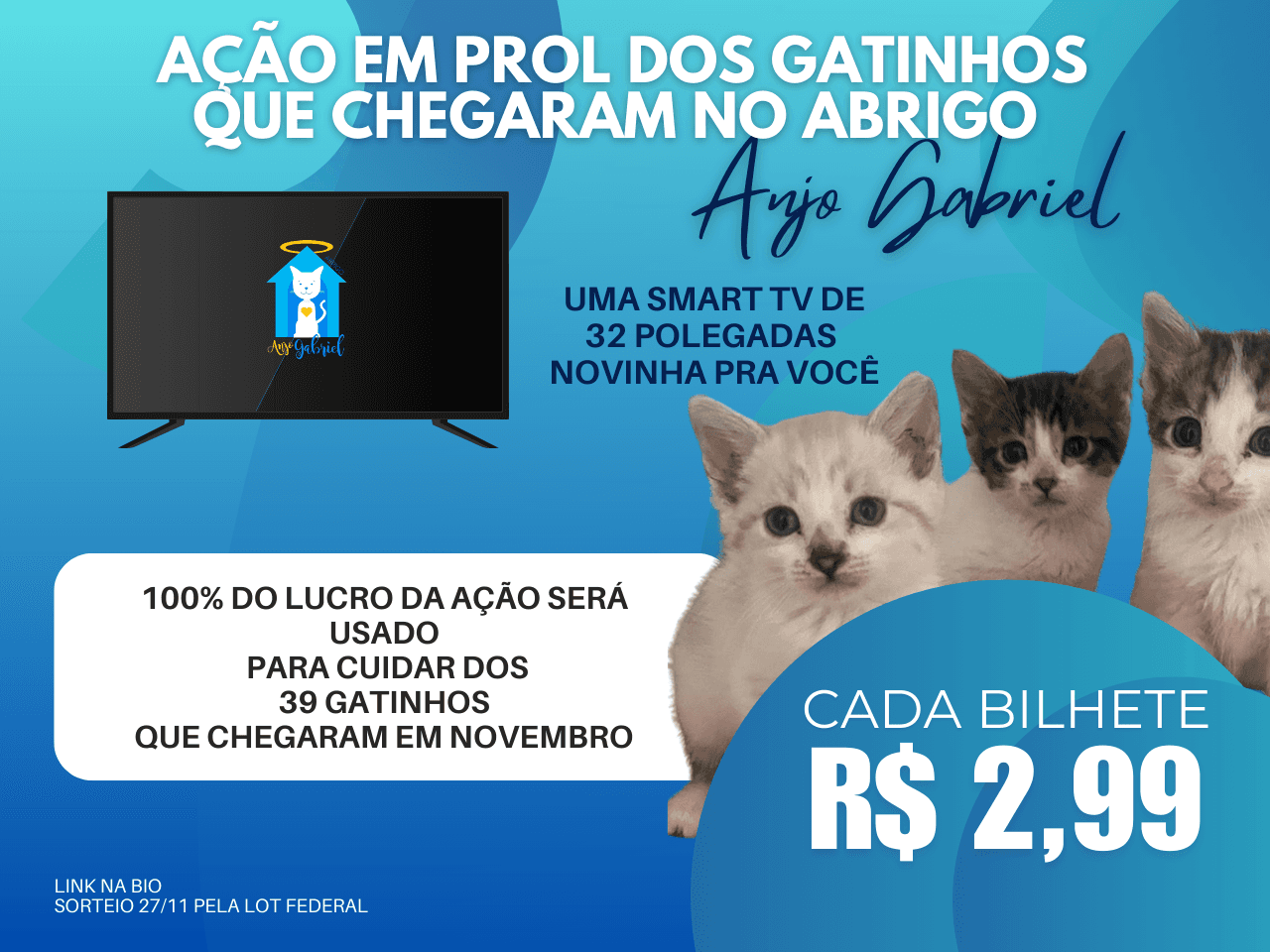 CAMPANHA EM PROL DOS FILHOTES QUE CHEGARAM NO ABRIGO EM NOVEMBRO