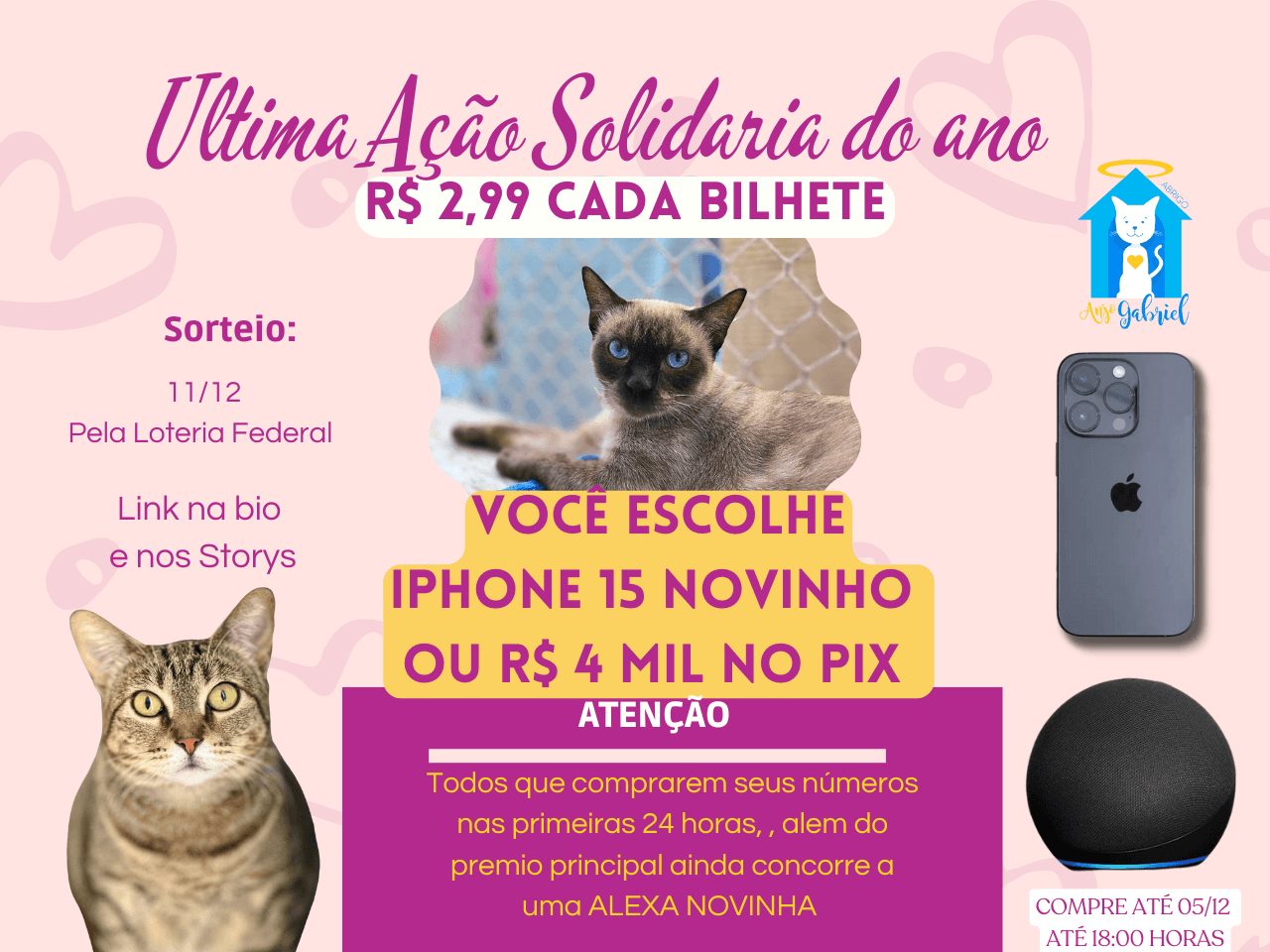 Ultima Ação Solidária do Ano