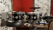 CAIXAS DW COLLECTORS BRASS 14x6,5