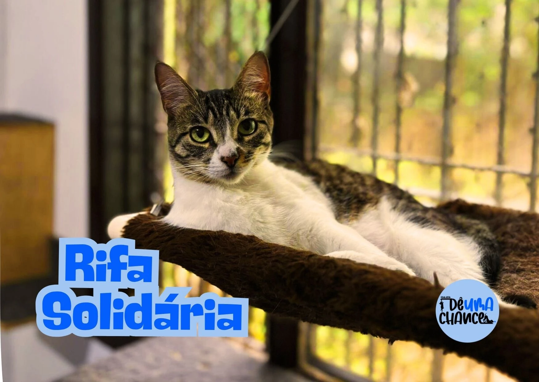 2ª imagem da campanha