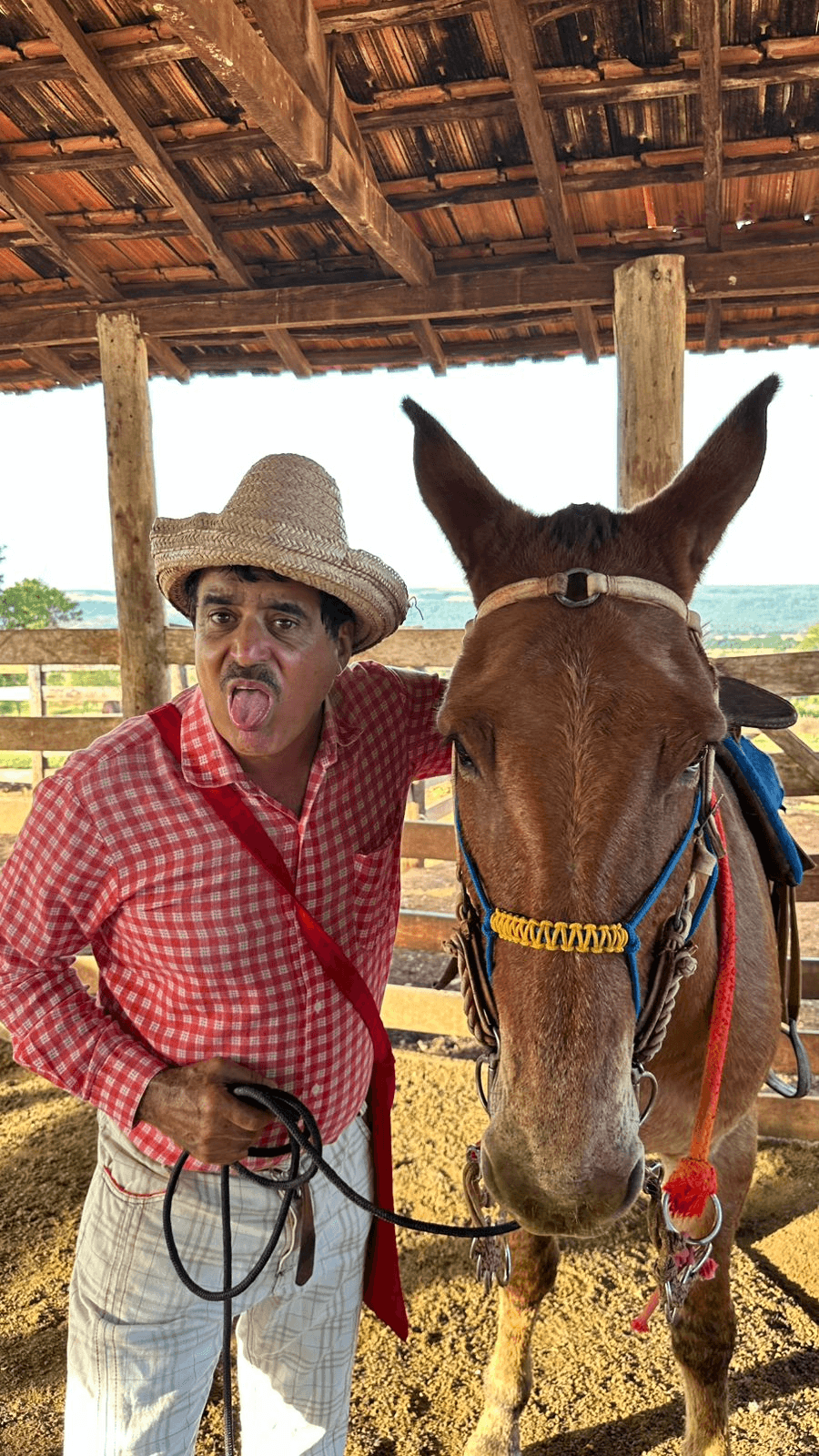 1ª imagem da campanha