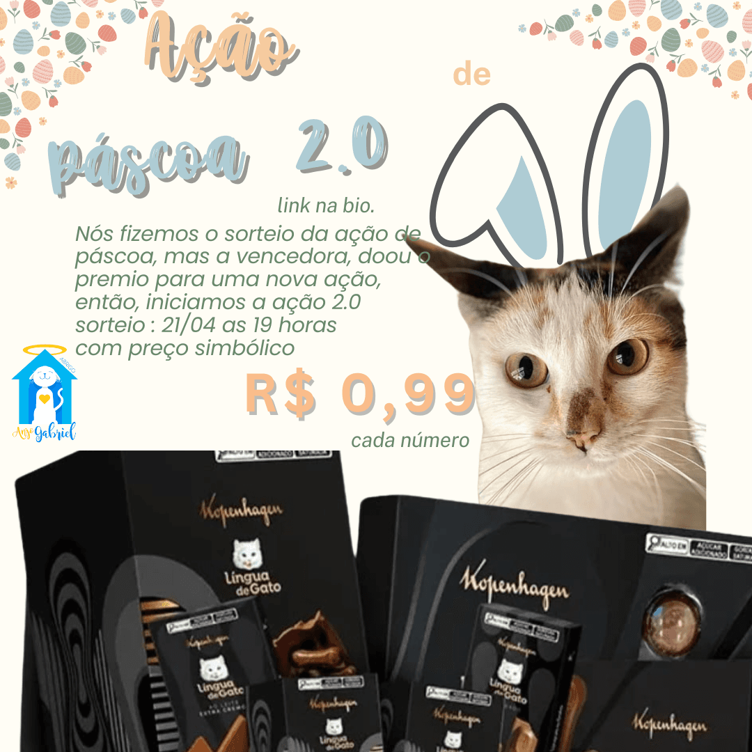 AÇÃO DE PÁSCOA 2.0 ABRIGO ANJO GABRIEL