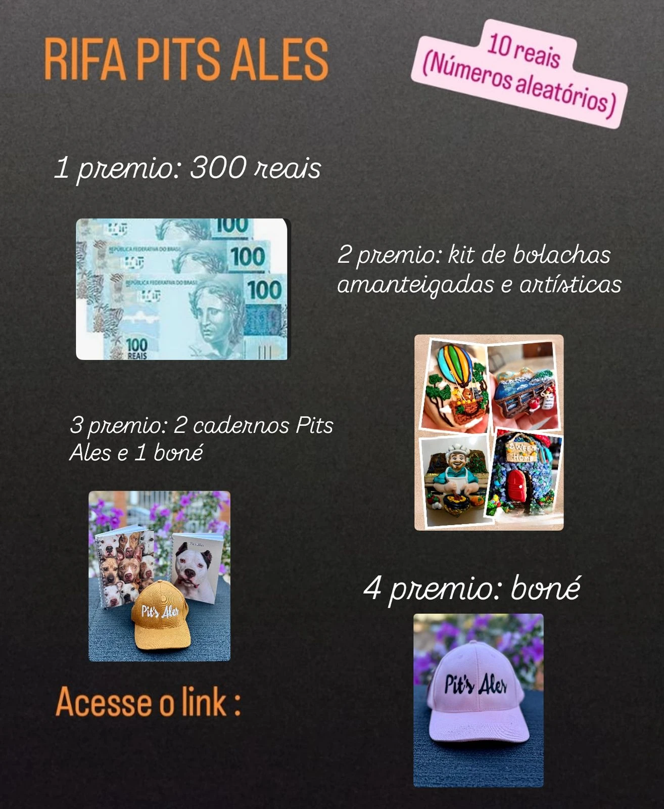 NINGUÉM LARGA A PATINHA DE NINGUÉM - 2ª edição