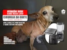 Ajude na cirurgia da Odete!