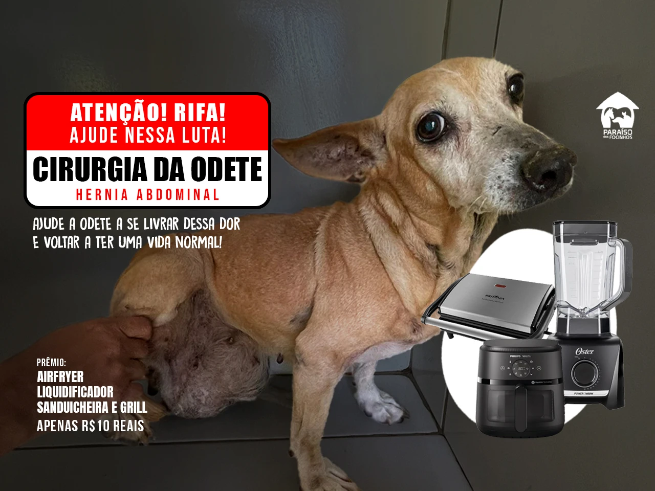1ª imagem da campanha