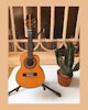 Cavaquinho Alceu Maia