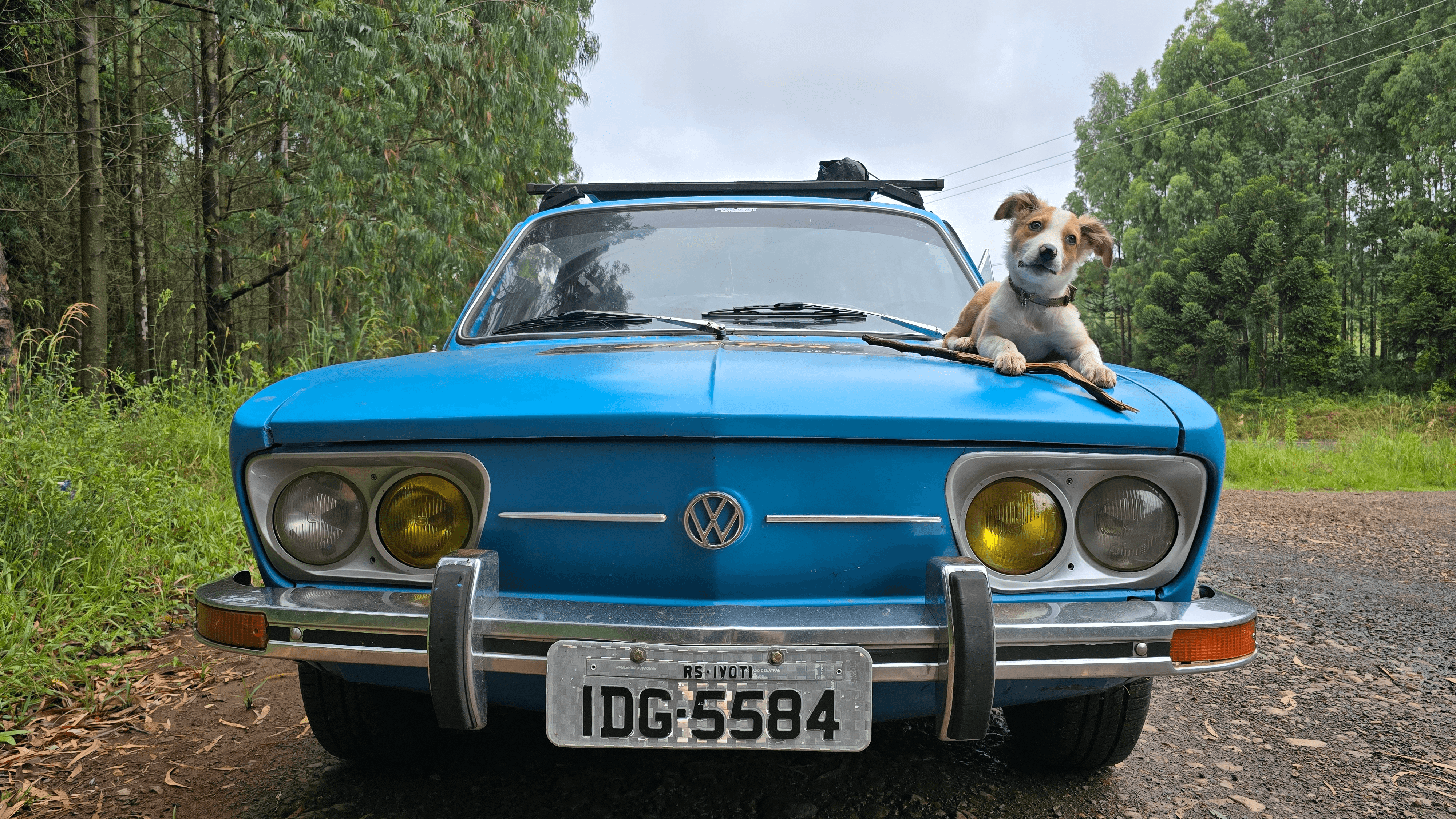 2ª imagem da campanha