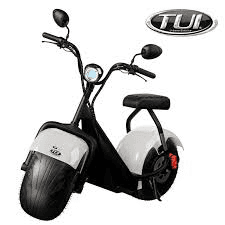 IPHONE 16 PRO MAX + TUI BRANCA