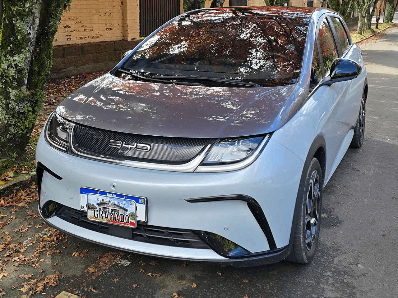 BYD Dolphin Plus 2025