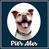 Pits Ales